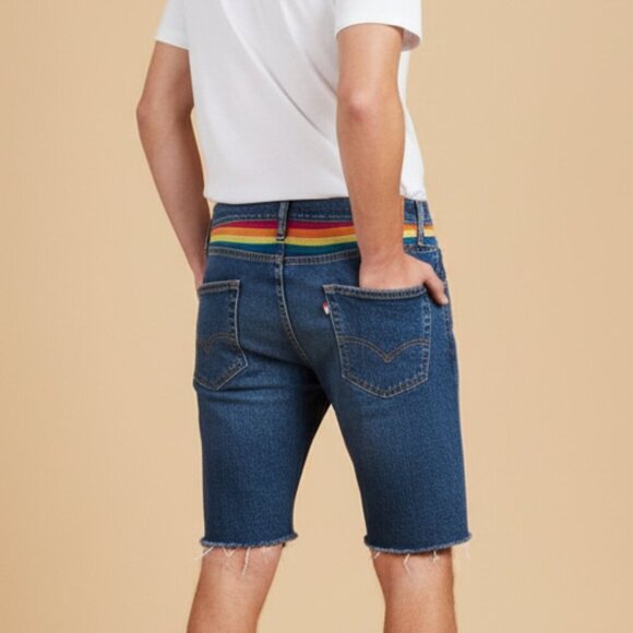 Levis 511 Shorts Blue Denim Pride Rainbow Stonewall Raw Hem Embroidered Size 30 - Picture 1 of 14